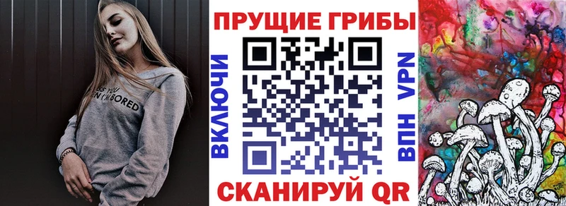 хочу   Наволоки  это состав  Галлюциногенные грибы мицелий 